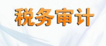 成都税务审计