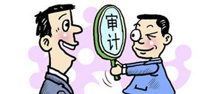 小微企业审计
