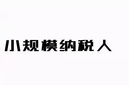 小规模纳税人.png