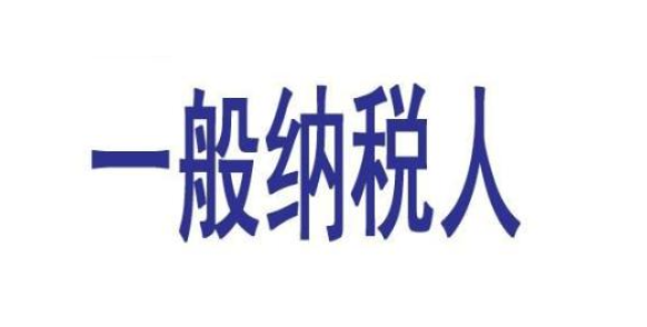 一般纳税人.png