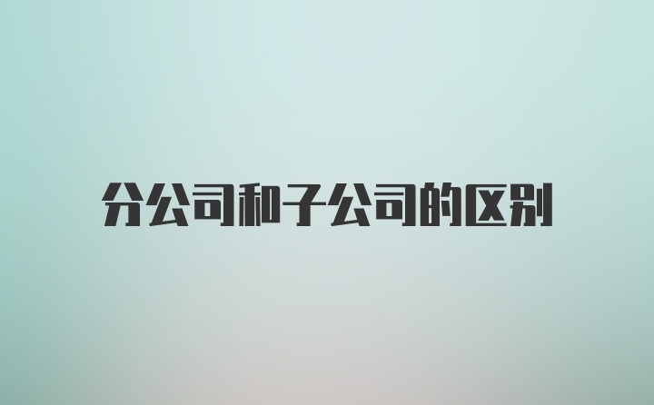 分公司和子公司有何区别？哪个更有利？