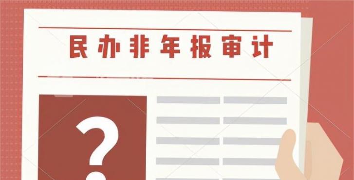 成都民办非企业年报审计